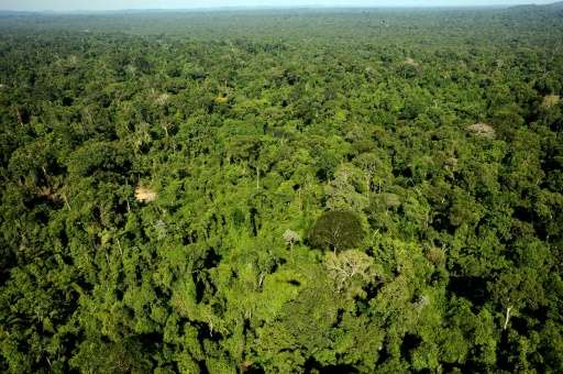 The rainforest has a wealth of valuable commodities but has been protected for decades from private industry and is home to seve