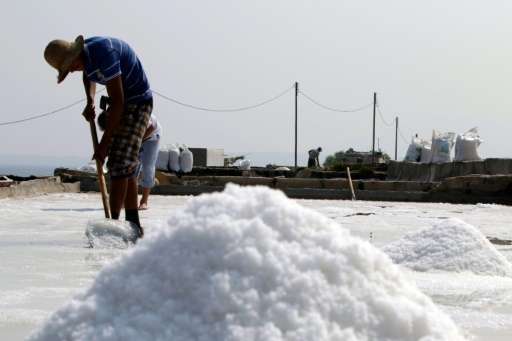 Traditional coastal salt production was once popular in Lebanon, but the fully artisanal practice now survives in just a single 