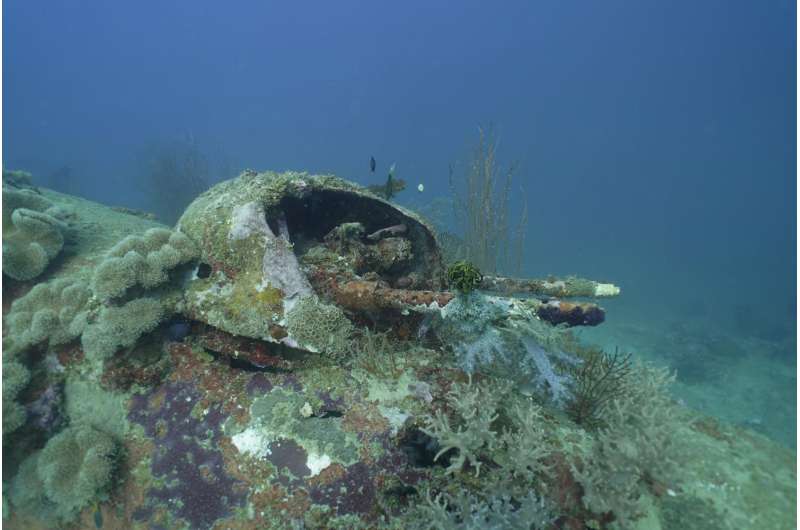 Two missing World War II B-25 bombers documented by Project Recover off Papua New Guinea