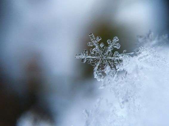 Uncovering the answer to an age-old question: How do snowflakes form?