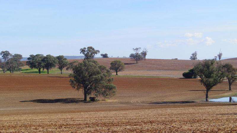 Varied predictions for soil organic matter as climate changes