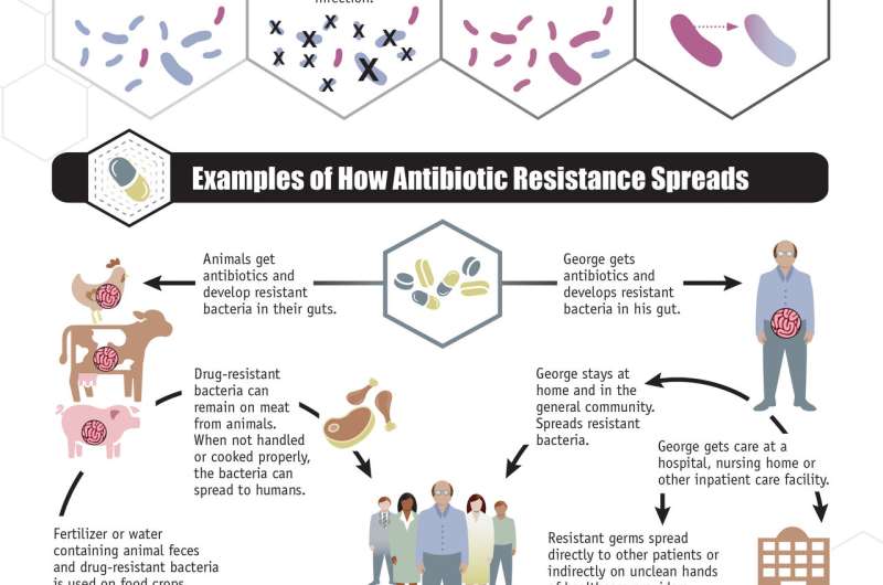 Want to beat antibiotic-resistant superbugs? Rethink that strep throat remedy
