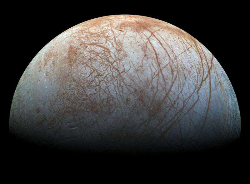 What does the abundance of water in the solar system mean for life?