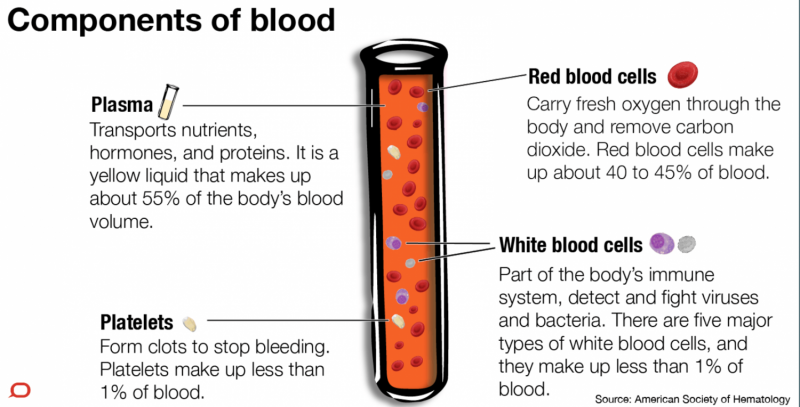 Why do we actually have blood?
