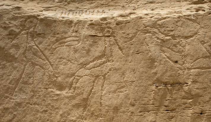 Archaeologists discover earliest monumental Egyptian hieroglyphs