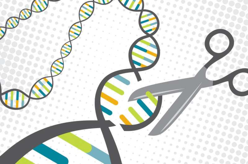 New technique enables safer gene-editing therapy using CRISPR