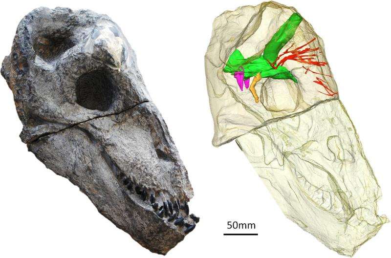 New insights into the survival techniques of a prehistoric beast