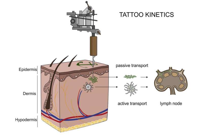 Scientists find that nanoparticles from tattoos travel inside the body