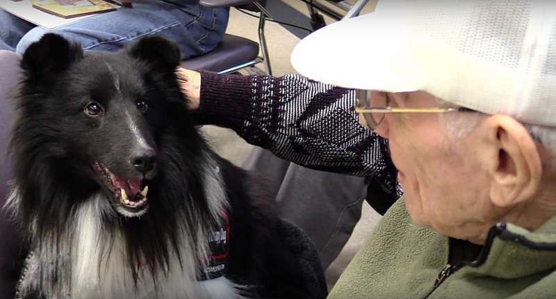 New study shows therapy dogs improve health and wellbeing of older war veterans