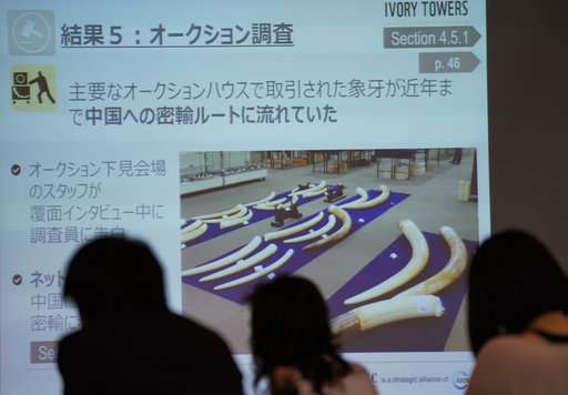 Conservation group says Japan aiding in illegal ivory trade