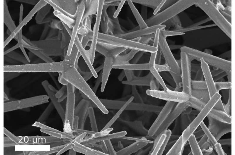 Research team develops new composite material made of carbon nanotubes