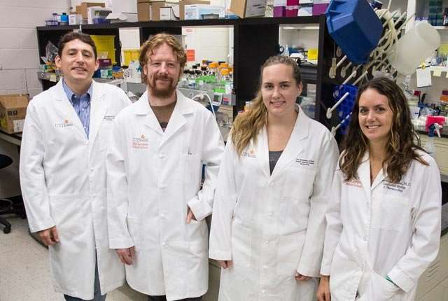 Researchers report findings on the effects of fat on stem cells