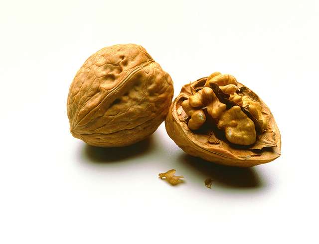 A faster, less costly way to process walnuts