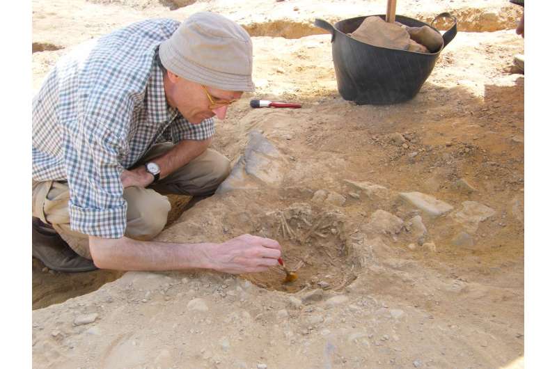 Ancient DNA reveals role of Near East and Egypt in cat domestication