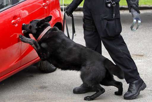 A tool to protect police dogs in drug raids from overdosing