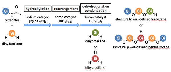Development of technique for one-pot synthesis of siloxane bonds