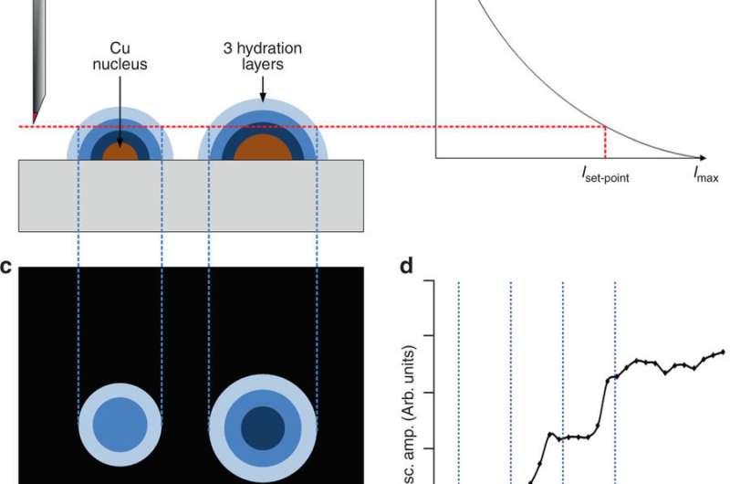 Electroplating: The birth of a single nucleus caught in camera
