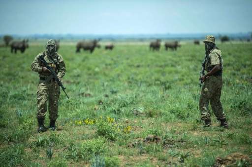 Experts say the fight against poachers has become like a war