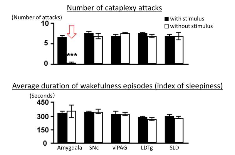 Identification of the neuronal suppressor of cataplexy, sudden weakening of muscle tone