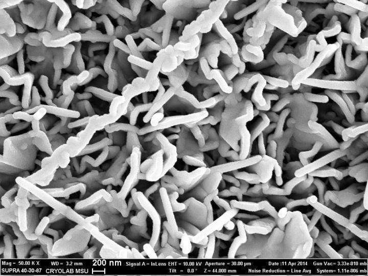 Lithium-ion batteries will get more efficiency due to silicon, germanium, carbon nanowalls