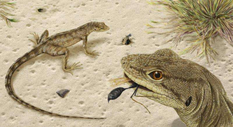 Paleontologists find the oldest, most complete fossilized iguanian in the Americas