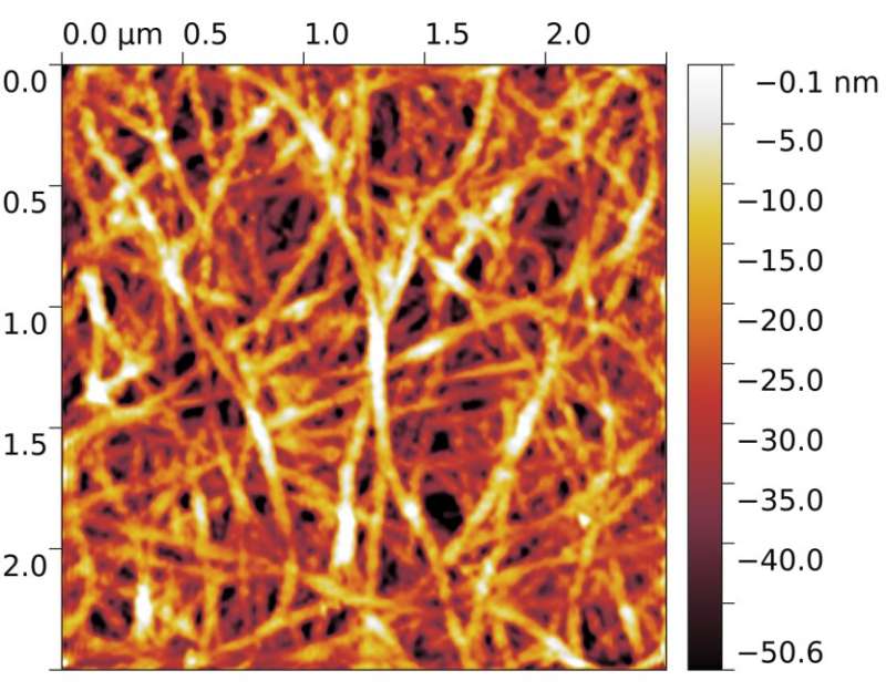 Physicists explain metallic conductivity of thin carbon nanotube films