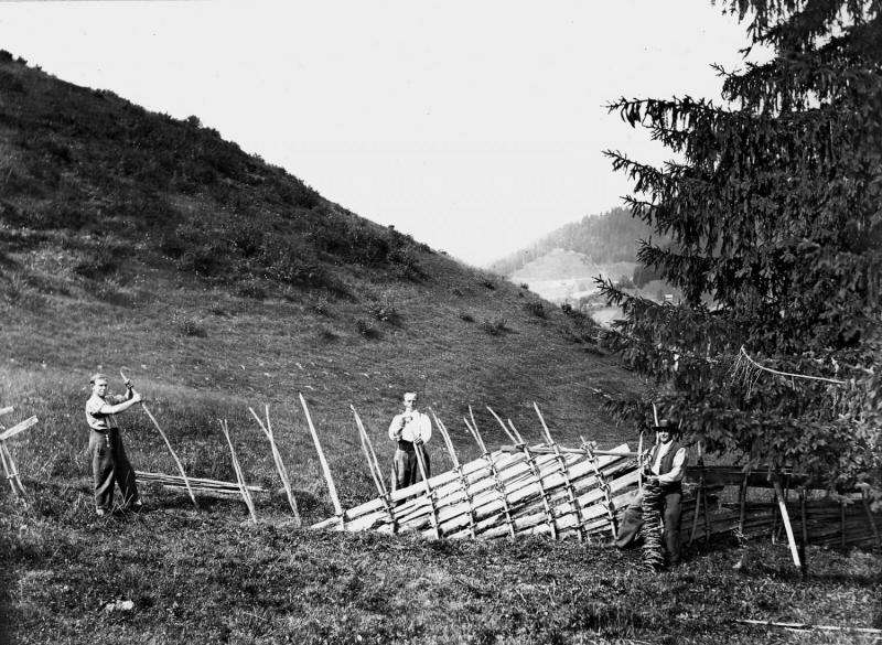 Prehistoric alpine farming in the Bernese Oberland