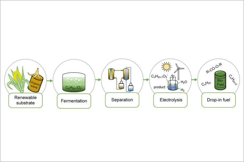 Production of drop-in fuel from biomass by microbial and electrochemical conversion