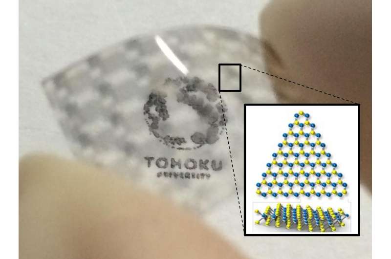 Semitransparent and flexible -- Solar cells made from atomically thin sheet