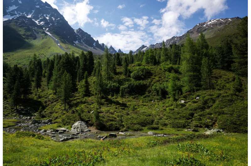 Study reveals that climate change could dramatically alter fragile mountain habitats
