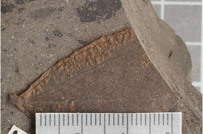 Study settles prehistoric puzzle, confirms modern link of carbon dioxide & global warming