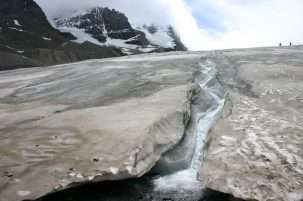 The glaciers are going