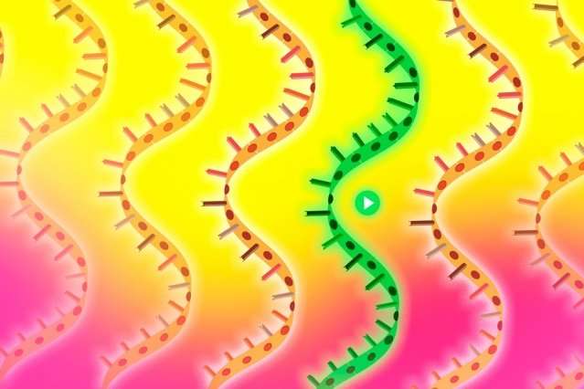 New technique scours the genome for genes that combat disease