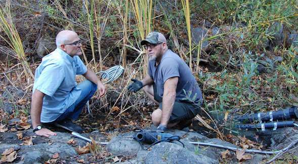 Researchers are working to improve the health of the San Diego River’s mountainous tributaries