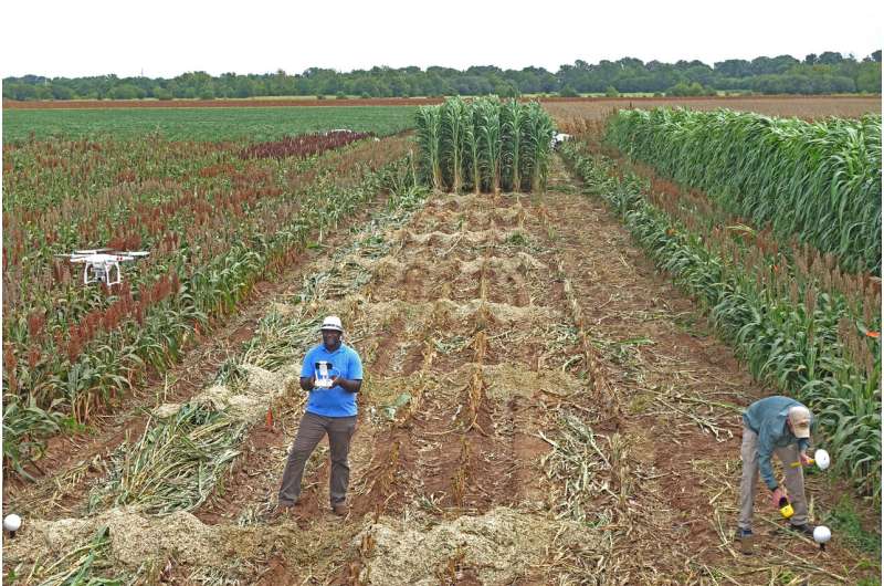 3-D crop imaging helps agriculture estimate plant height