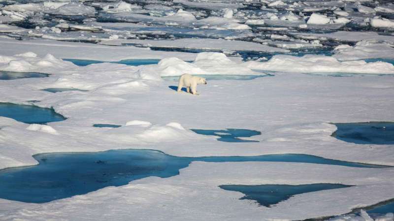 Arctic sea ice once again shows considerable melting