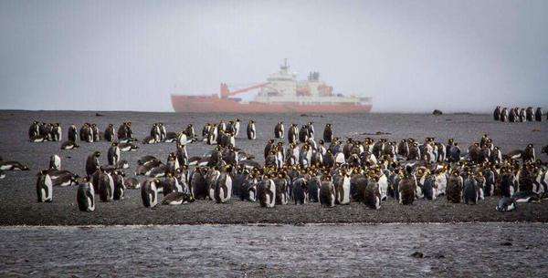 Around Antarctica: ACE expedition completed its first leg