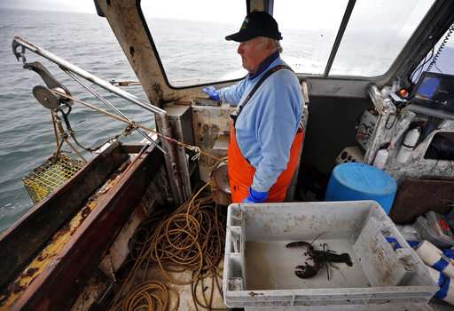 New rules for lobstering in southern New England up for vote