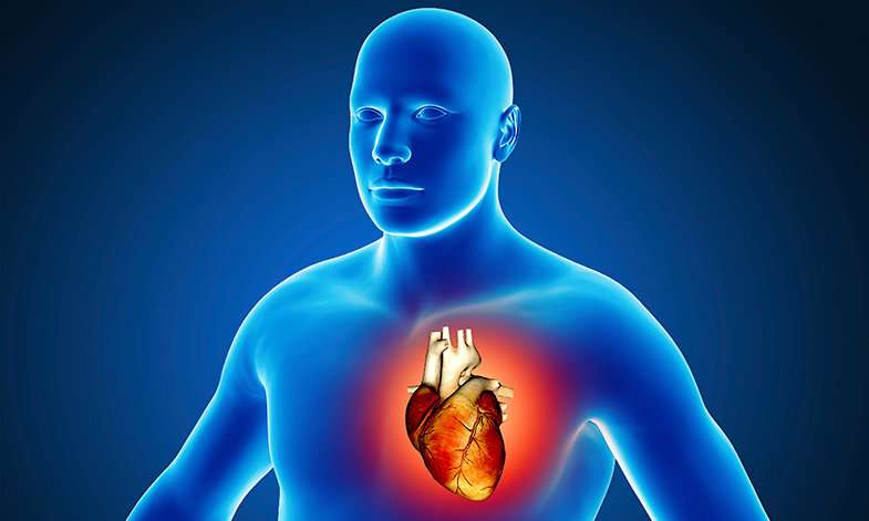 New study identifies those most at risk of developing a life-threatening heart infection