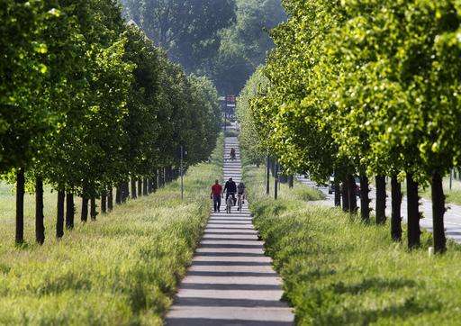 Where are the trees? Not Paris, new 'Green View Index' finds