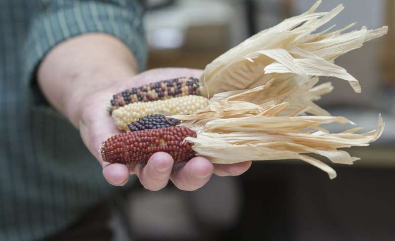 Archaeologist says fire, not corn, key to prehistoric survival in arid Southwest