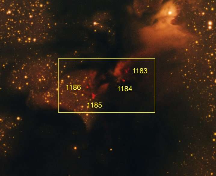 Astronomers identify twelve new Herbig-Haro objects in the dark nebula LDN 673