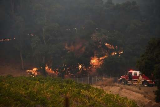 Firefighters protect a vineyard in Santa Rosa, California