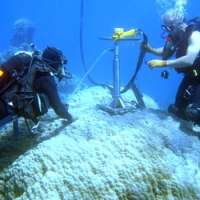 High temperatures, not ocean acidification, is threatening the growth of coral