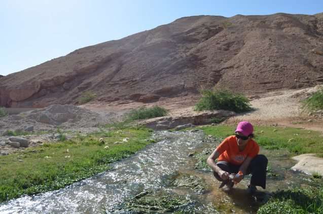 In Israel, searching for droughts past and future