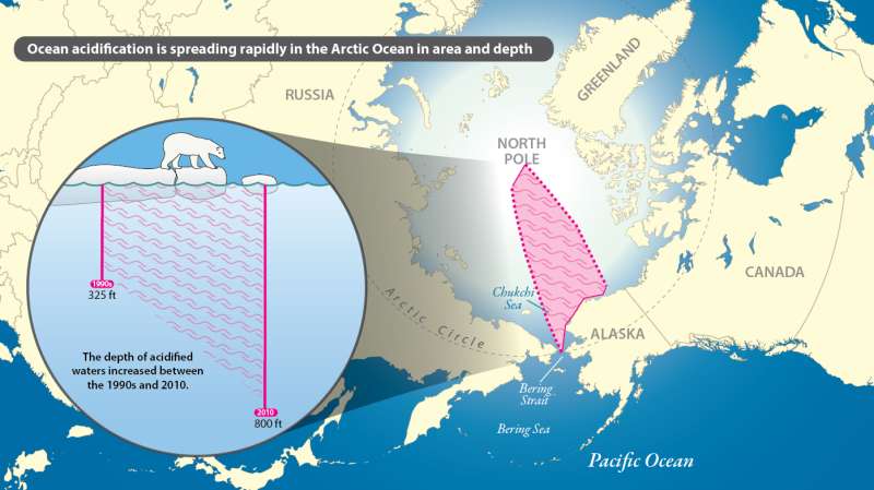International team reports ocean acidification spreading rapidly in Arctic Ocean