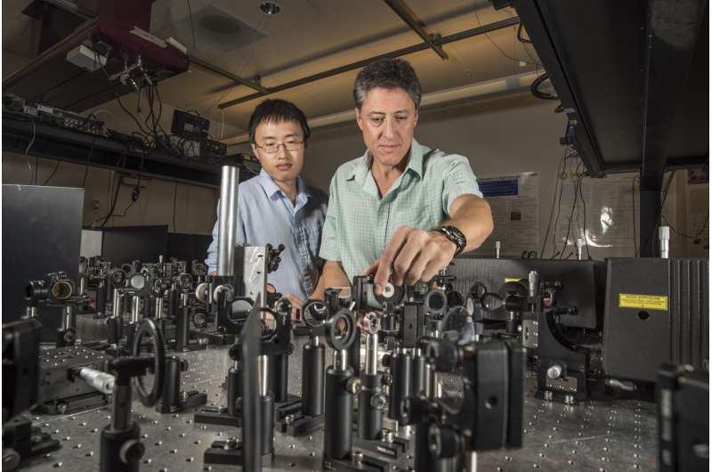 Nanotechnology experts create first terahertz-speed polarization optical switch