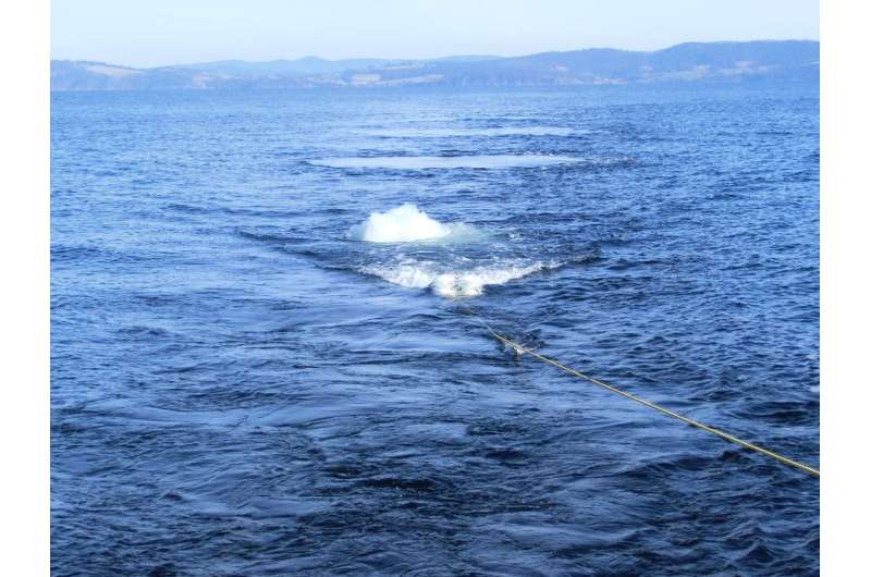 New research reveals impact of seismic surveys on zooplankton