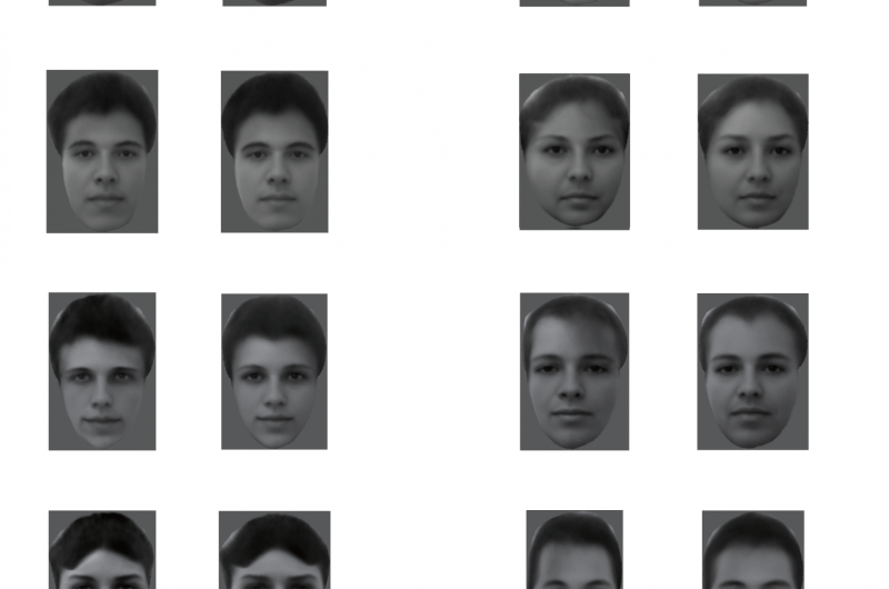 Researchers decipher the enigma of how faces are encoded in the brain