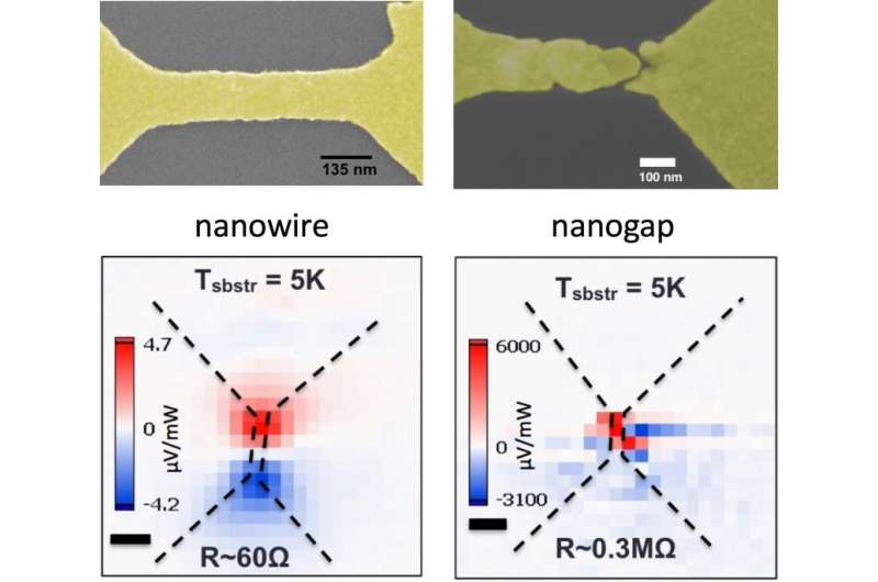 Scientists find nanogaps in plasmonic gold wires enhance voltage when excited 